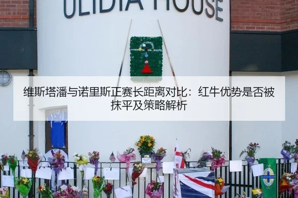 维斯塔潘与诺里斯正赛长距离对比：红牛优势是否被抹平及策略解析