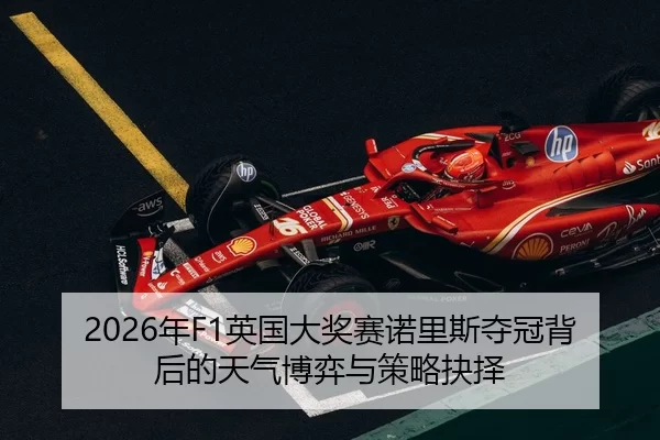 nian-ying-guo-da-jiang-sai-nuo-li-si-duo-guan-bei-hou-de-tian-qi-bo-yi-yu-ce-lve-jue-ze-2-325.jpg