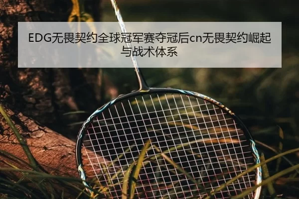 EDG无畏契约全球冠军赛夺冠后cn无畏契约崛起与战术体系